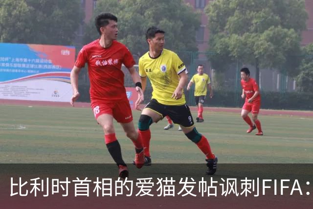 比利时首相的爱猫发帖讽刺FIFA：“红牌？”我照样继续踢！