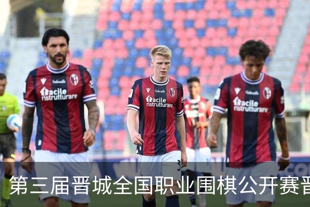 第三届晋城全国职业围棋公开赛晋城开幕
